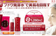 ランディングページ